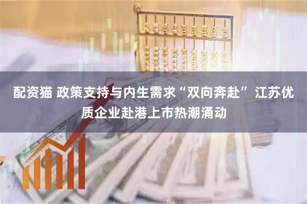 配资猫 政策支持与内生需求“双向奔赴” 江苏优质企业赴港上市热潮涌动