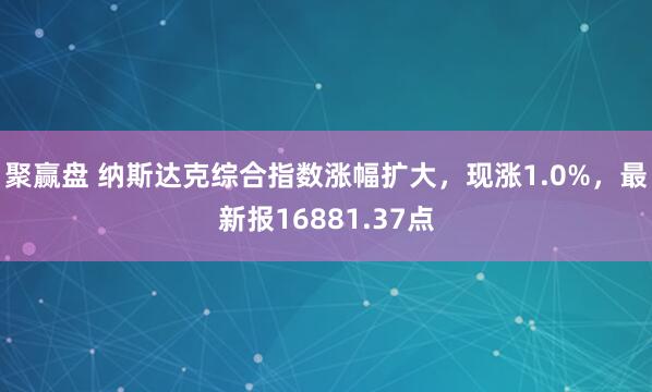 聚赢盘 纳斯达克综合指数涨幅扩大，现涨1.0%，最新报16881.37点