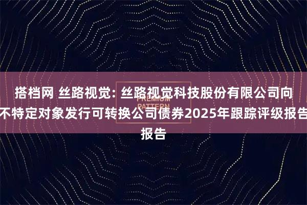 搭档网 丝路视觉: 丝路视觉科技股份有限公司向不特定对象发行可转换公司债券2025年跟踪评级报告