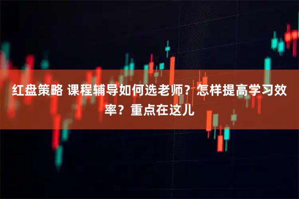 红盘策略 课程辅导如何选老师？怎样提高学习效率？重点在这儿
