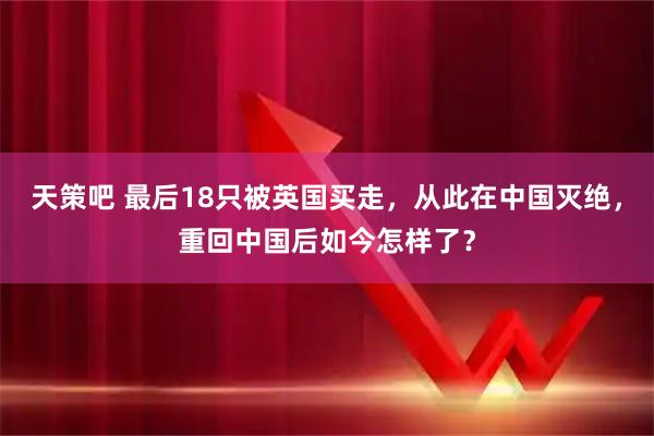 天策吧 最后18只被英国买走，从此在中国灭绝，重回中国后如今怎样了？