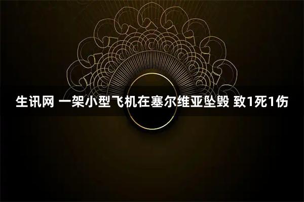 生讯网 一架小型飞机在塞尔维亚坠毁 致1死1伤