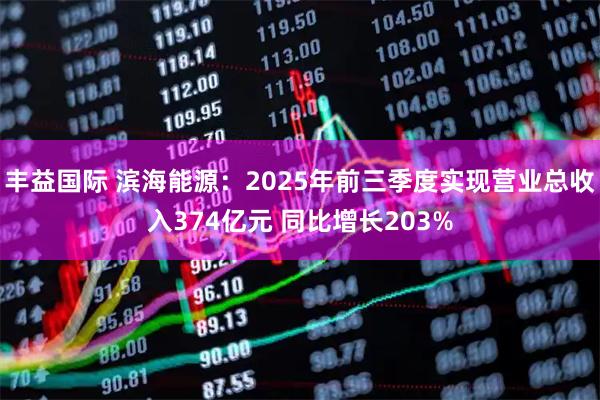 丰益国际 滨海能源：2025年前三季度实现营业总收入374亿元 同比增长203%